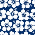 Graphic white tropical hibiscus flowers seamless pattern Royalty Free Stock Photo