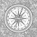 Graphic wind rose compass Royalty Free Stock Photo