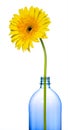 Graphic Yellow Flower Bottle Isolated Royalty Free Stock Photo