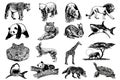 Graphical big set of animals isolated on white background,vector illustration. Zoology. Elements for design Royalty Free Stock Photo