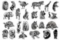 Graphical big set of animals isolated on white background,vector illustration. Zoology. Elements for design Royalty Free Stock Photo