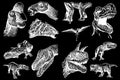 Graphical big set of dinosaurs on black background,vector illustration for tattoo and printing
