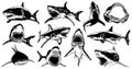 Graphical big set of sharks and jaws isolated on white background,vector elements , great white shark Royalty Free Stock Photo