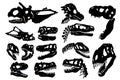 Graphical big set of silhouettes of skulls of dinosaurs isolated on white background, elements of paleontology