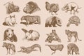 Graphical big vintage set of animals on sepia background,vector illustration. Zoology Royalty Free Stock Photo