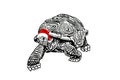 Graphical christmas element , turtle in red Santa Claus hat isolated on white background