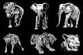 Graphical 3d set of african animals on black background,vector engraved illustration Royalty Free Stock Photo