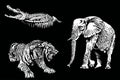 Graphical 3d set of african animals on black background,vector engraved illustration Royalty Free Stock Photo