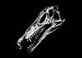 Graphical 3d skull of spinosaurus isolated on black, paleontology