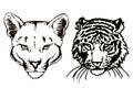 Graphical face of tiger ans lioness on white background,vector illustration, tattoo design Royalty Free Stock Photo