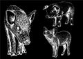 Graphical set of pigs isolated on black background,vector illustration