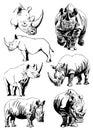 Graphical hand-drawn set of rhinos isolated on white,vector illustration Royalty Free Stock Photo