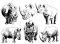 Graphical hand-drawn set of rhinos isolated on white,vector illustration Royalty Free Stock Photo