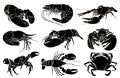 Graphical hand-drawn set of sea food isolated on white background, vector illustration