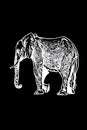 Graphical illustration of elephant , Asian and African animal. Vector elephant isolated on black Royalty Free Stock Photo