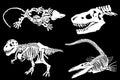 Graphical illustration, set of dinosaur skeletons isolated on black background,vector engraved illustration Royalty Free Stock Photo