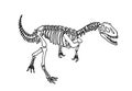 Graphical illustration of skeleton of tyrannosaurus isolated on white, sketch for coloring, doodle art