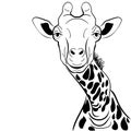 A graphical image giraffe head ink sketch