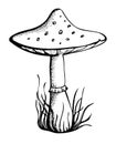 Graphical monochrome black and white mushroom draw