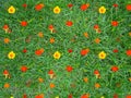 Graphical pattern of grass with flowers and mushrooms