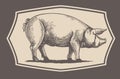Graphical pig in frame Royalty Free Stock Photo