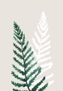 Graphical pine twigs illustration. Floral line art pattern, winter background Royalty Free Stock Photo