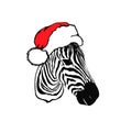 Graphical portrait of zebra in Santa Claus hat isolated on white background, vector new year illustration Royalty Free Stock Photo