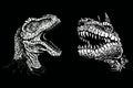 Graphical portraits of dinosaurs isolated on black background,vector illustration