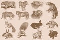 Graphical sepia collection of animals ,vector illustration