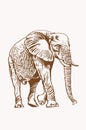 Graphical sepia illustration of elephant walking, vector