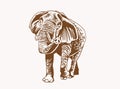 Graphical sepia illustration of elephant walking, vector