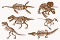 Graphical sepia set of dinosaur skeletons, vintage illustration