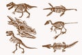 Graphical sepia set of dinosaur skeletons, vintage illustration