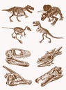 Graphical sepia set of dinosaur skeletons, vintage illustration