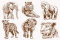 Graphical sepia set of wild African animals, illustration