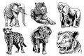 Graphical set of African animals isolated on white background, vector elements, wildlife Royalty Free Stock Photo