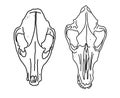 Graphical set. animal skulls linear art. Royalty Free Stock Photo