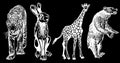 Graphical set of animals isolated on black background,vector illustration. Zoology. Elements for design Royalty Free Stock Photo