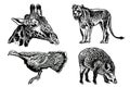 Graphical set of animals isolated on white background,vector illustration. Zoology Royalty Free Stock Photo