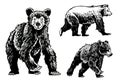 Graphical set of bears isolated on white background, vector elements of grizzly bear