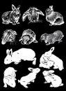 Graphical set of bunnies on black background,vector silhouettes and sketches