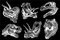 Graphical set of dinosaur portraits isolated on black background, engraved illustration