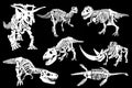 Graphical set of dinosaur skeletons isolated on black background,vector silhouettes, fossils Royalty Free Stock Photo