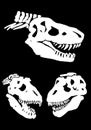 Graphical set of dinosaur skull silhouettes isolated on black background,vector illustration for tattoo and printing Royalty Free Stock Photo