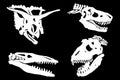 Graphical set of dinosaur skull silhouettes isolated on black background,vector illustration for tattoo and printing Royalty Free Stock Photo