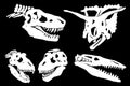 Graphical set of dinosaur skull silhouettes isolated on black background,vector illustration for tattoo and printing Royalty Free Stock Photo