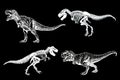 Graphical set of dinosaurs isolated on black background,vector illustration