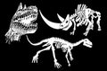 Graphical set of dinosaurs and skeleton of rhino isolated on black background