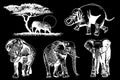 Graphical set of elephants isolated on black background, vector illustration Royalty Free Stock Photo