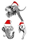 Graphical set of elephants` portraits in Santa Claus hats isolated on white background, vector new year illustration Royalty Free Stock Photo